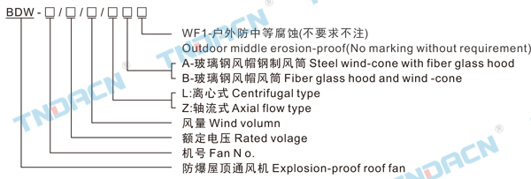 香港最快现场直播结果