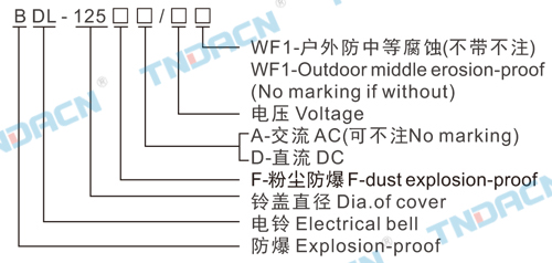 香港最快现场直播结果