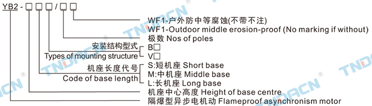 香港最快现场直播结果